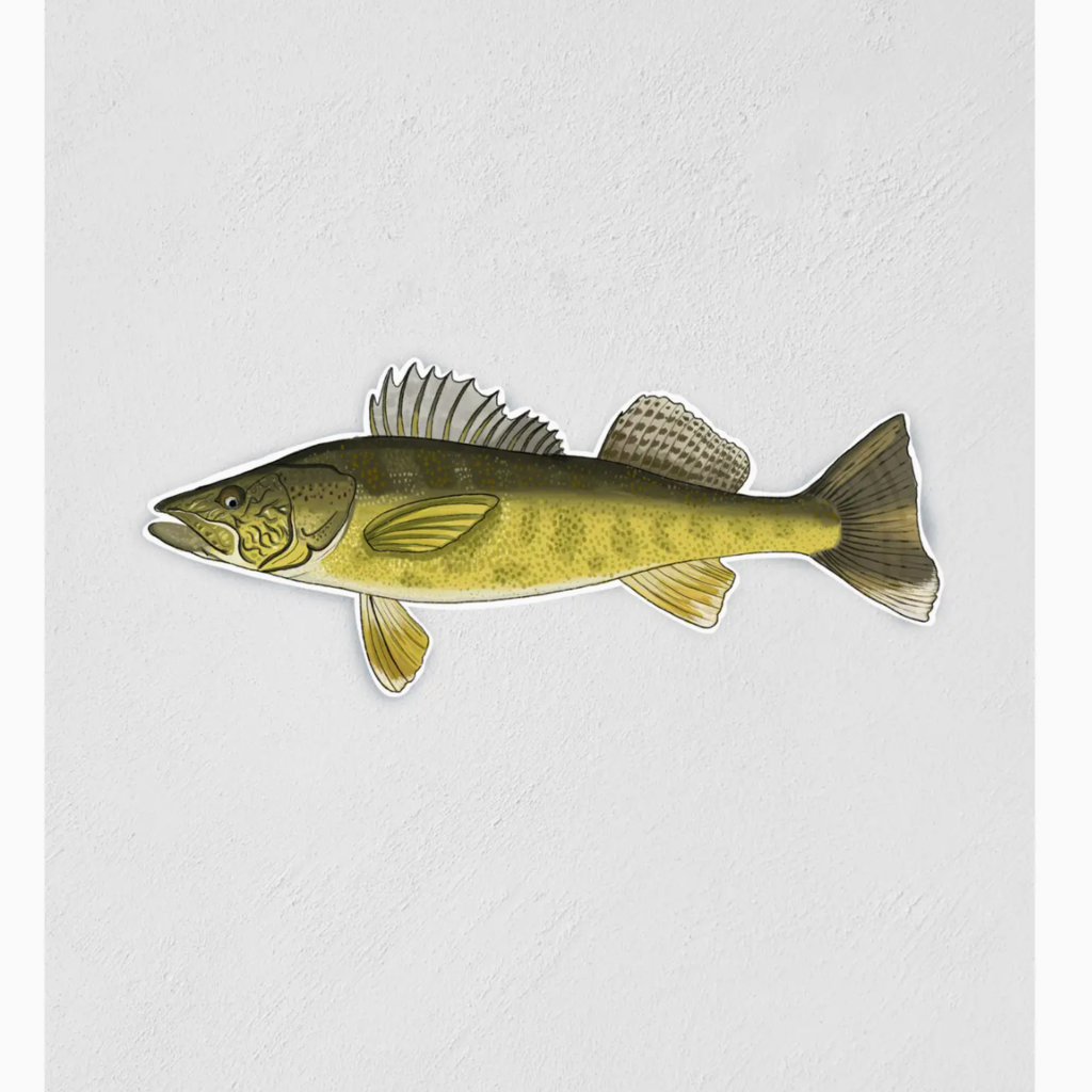 Little Rock Designs Sticker - 3" Walleye