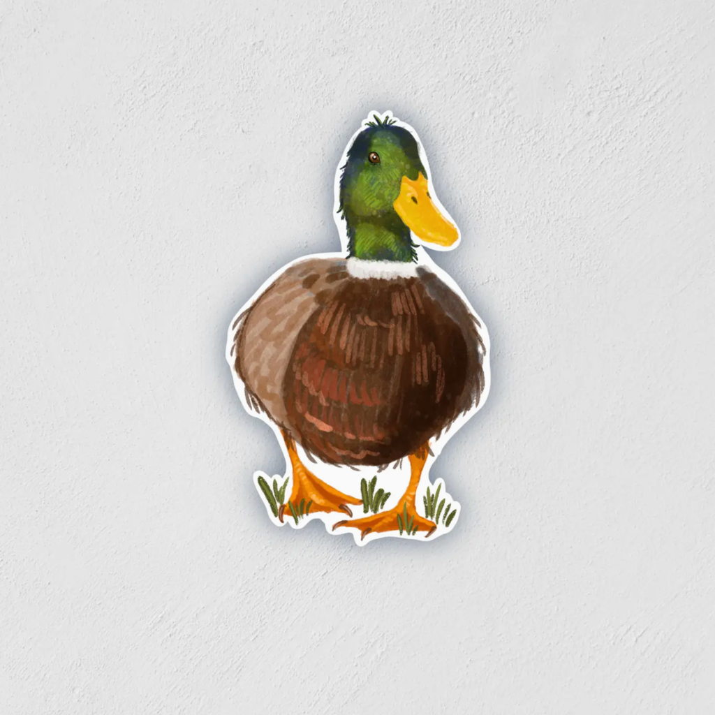 Little Rock Designs Sticker - Mallard