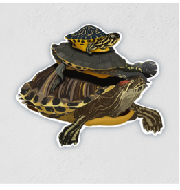 Little Rock Designs Sticker - Trio of Turtles