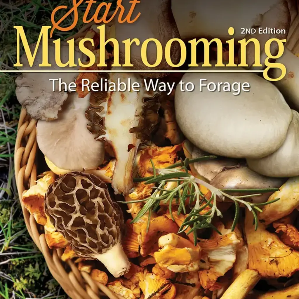 Tekiela Stan Start Mushrooming