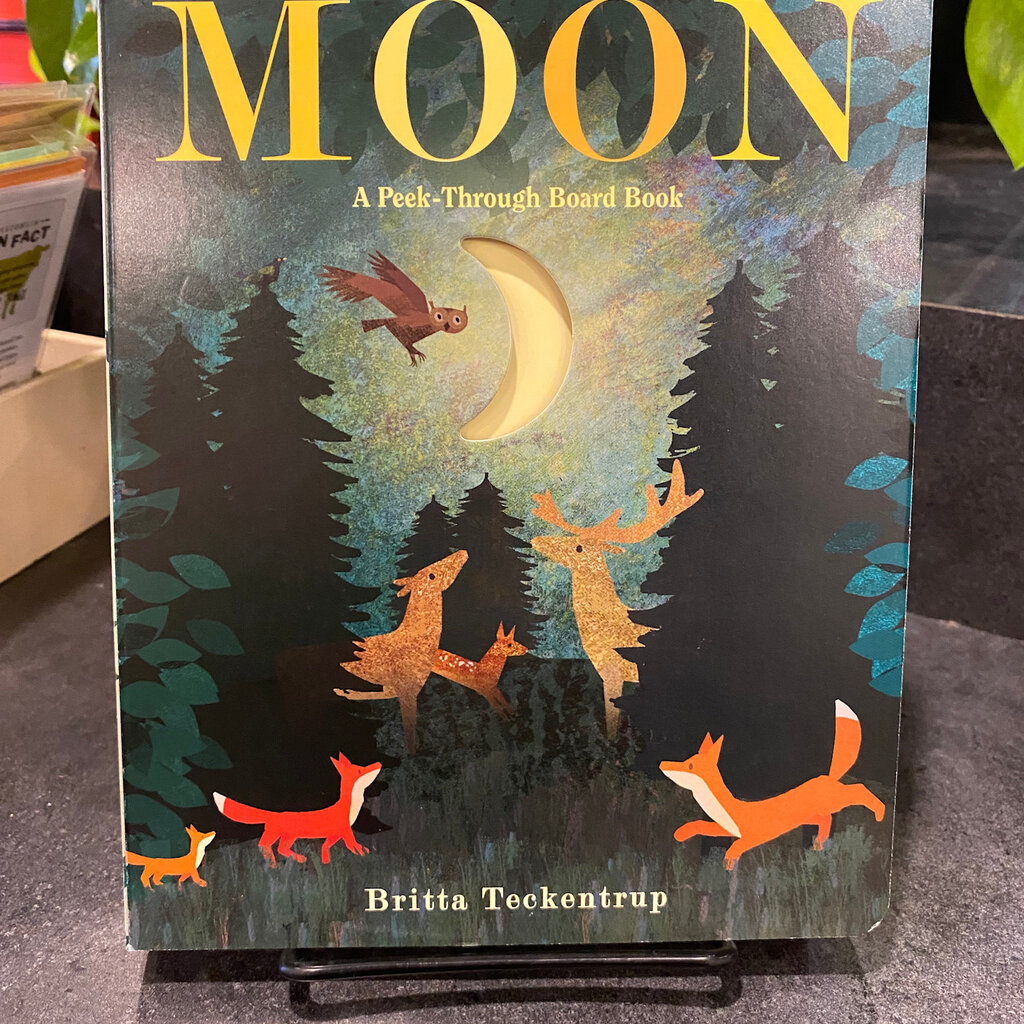 Moon: A Peek-Through Picture Book (Small Board)