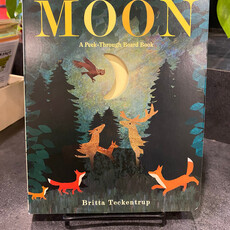Teekentrup Britta Moon: A Peek-Through Picture Book (Small Board)