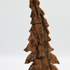 Large Tree