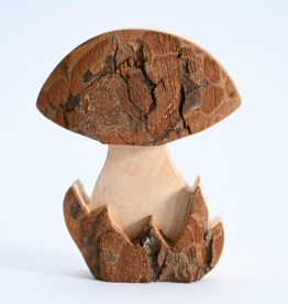 Small Mushroom