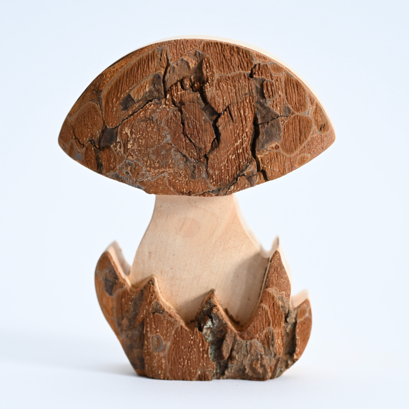 Small Mushroom