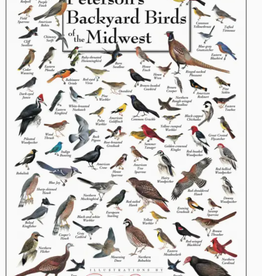 Peterson's Backyard Birds of the Midwest Poster