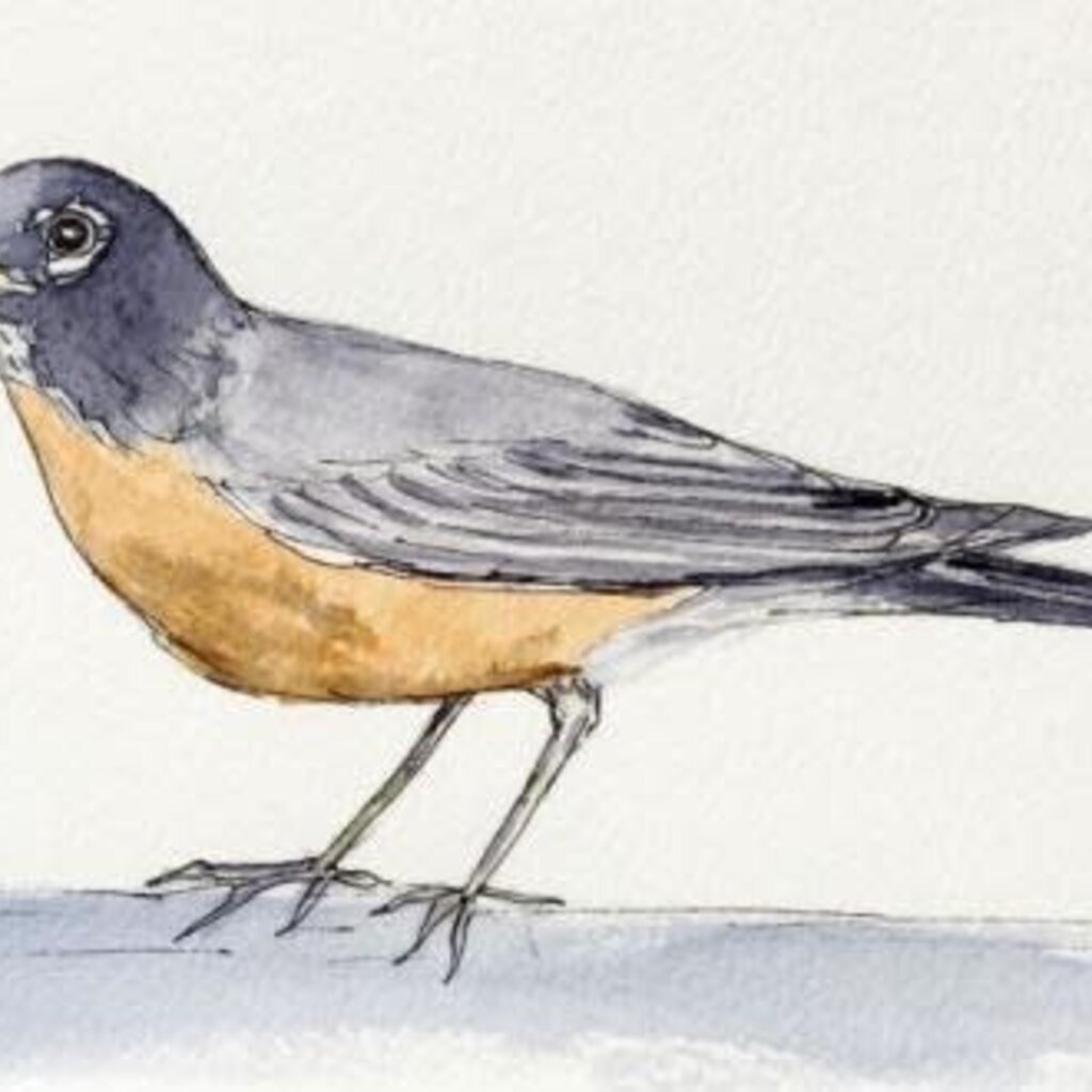 Amy Beidleman To One of My Favorite Birds Greeting Card