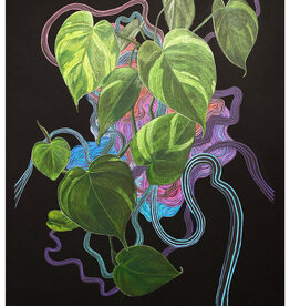 Plant Print - Heart Leaf Philodendron