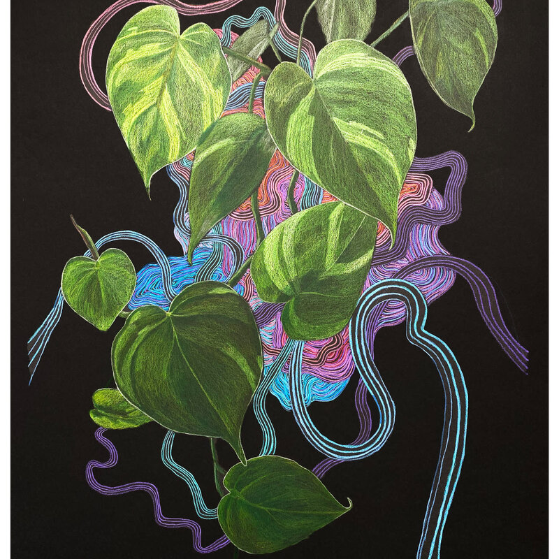 Plant Print - Heart Leaf Philodendron
