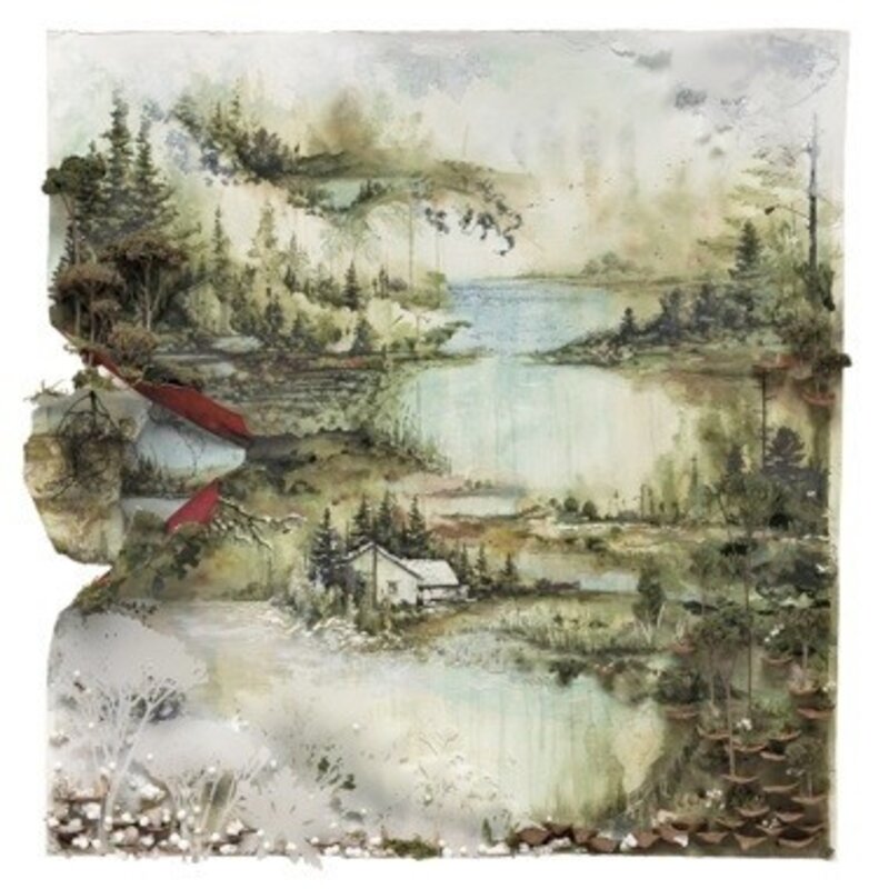 Bon Iver Bon Iver, Bon Iver (LP)