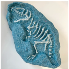 Poppy & Thyme Bath Bomb- Color changer Dinosaur Fossil