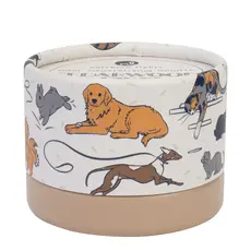 Pawson Pet Odor Neutralizing Candle - Cedar Wood & Birch