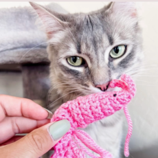 Rosemary's Baby MEK Catnip Toy - Shrimp