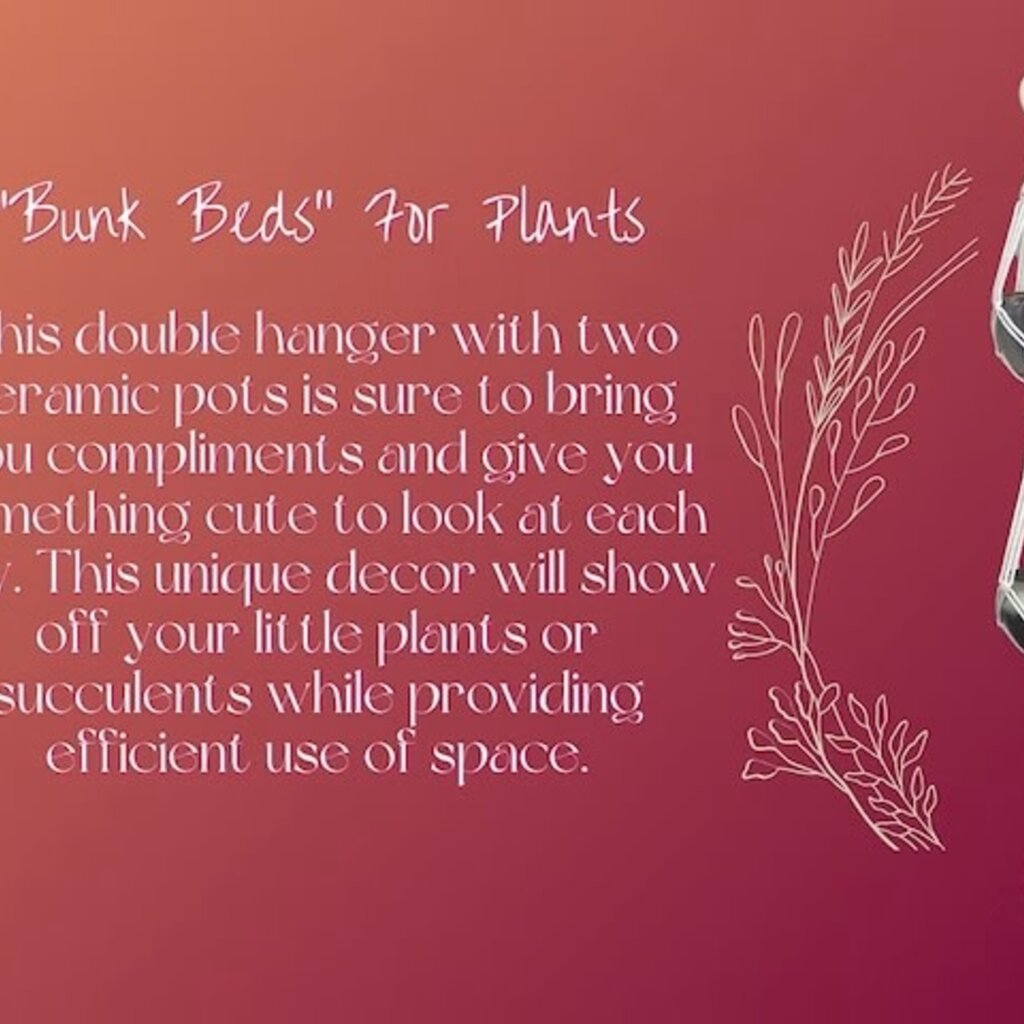 Box Set - Double Macrame Plant Holder