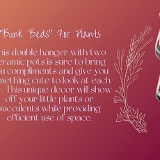 Box Set - Double Macrame Plant Holder