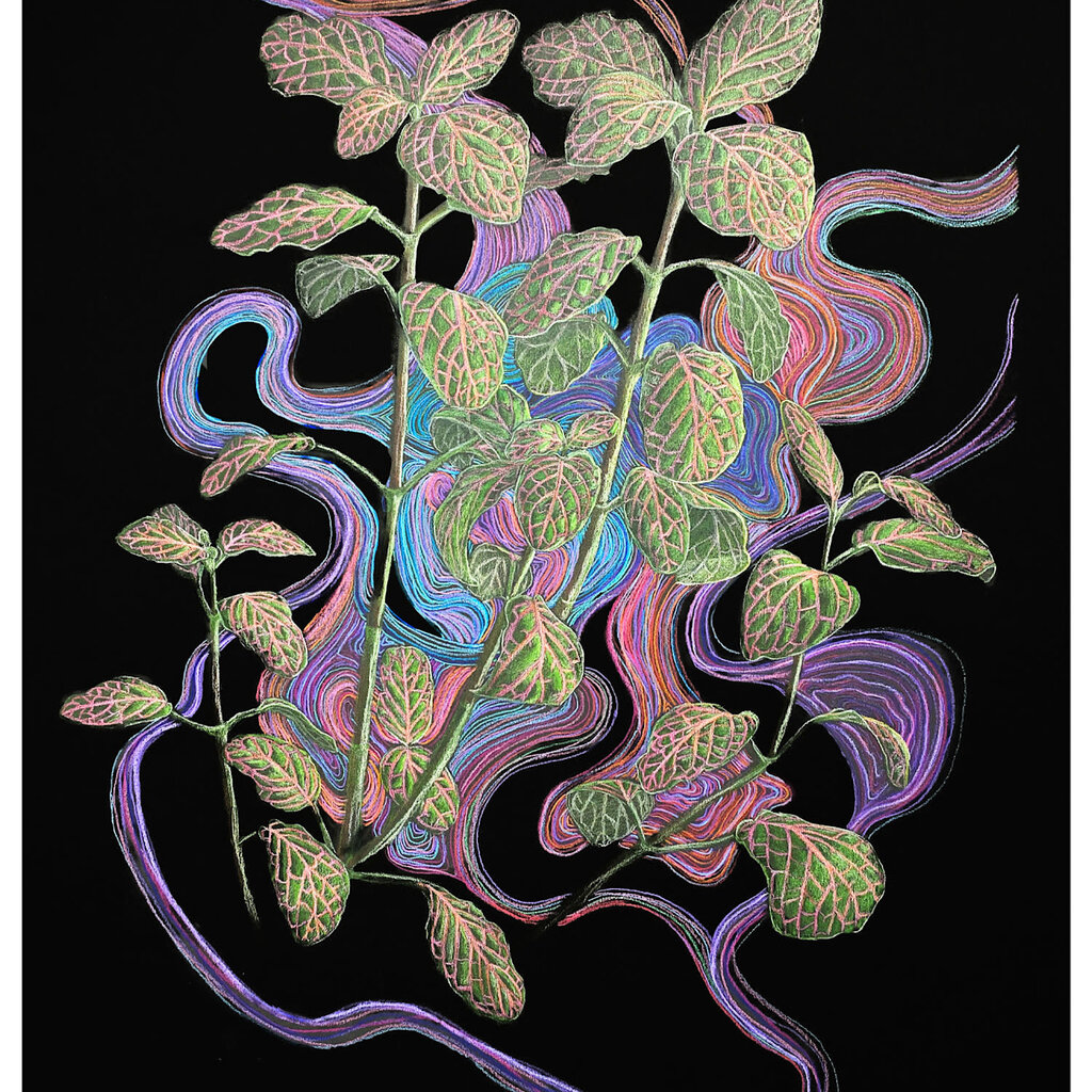 Plant Print - Nerve Plant