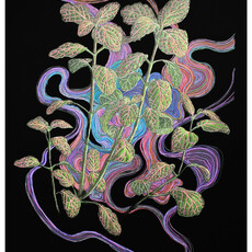 Plant Print - Nerve Plant