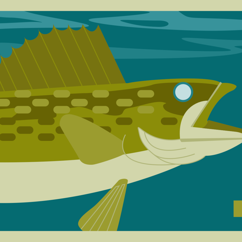 Cindy Lindgren Print - Walleye (8x10)