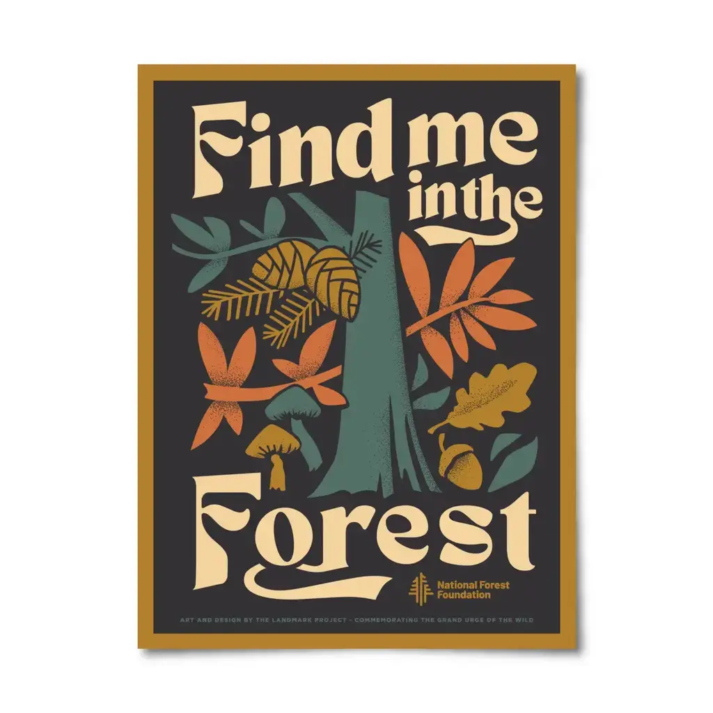 The Landmark Project Find me in the Forest - 12 x 16 Poster
