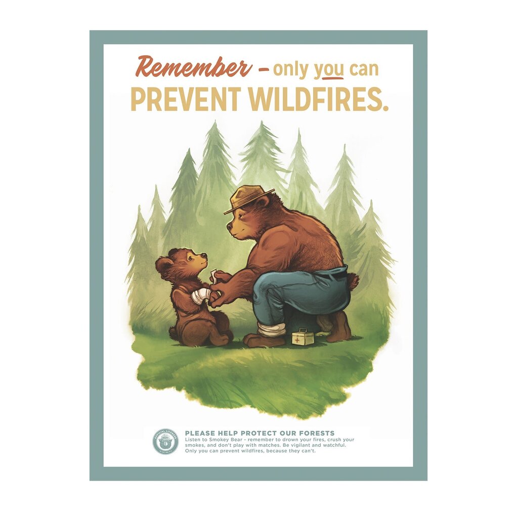 Prevent Wildfires - 12 x 16 Poster