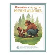Prevent Wildfires - 12 x 16 Poster