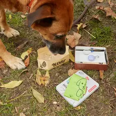 Kikkerland Kobe Hiking Kit