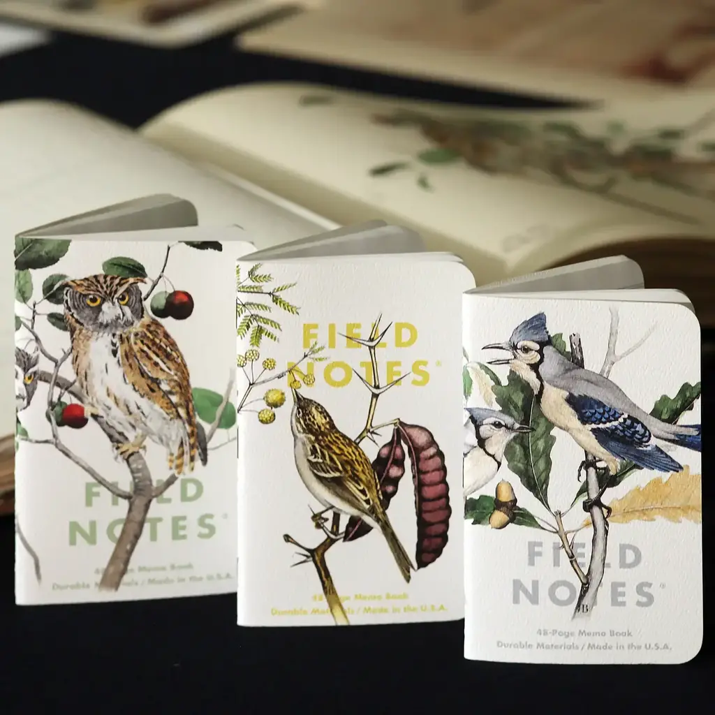Field Notes Birds and Trees of North America (Pack A:  Screech Owl - Blue Jay - Brewer Sparrow)