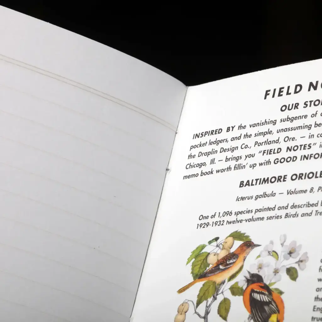 Field Notes Birds and Trees of North America (Pack A:  Screech Owl - Blue Jay - Brewer Sparrow)