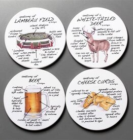 dishique Anatomy of Wisconsin Coaster Set (4)