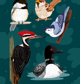 Lily Wenndt Illustration Minnesota Birds Print