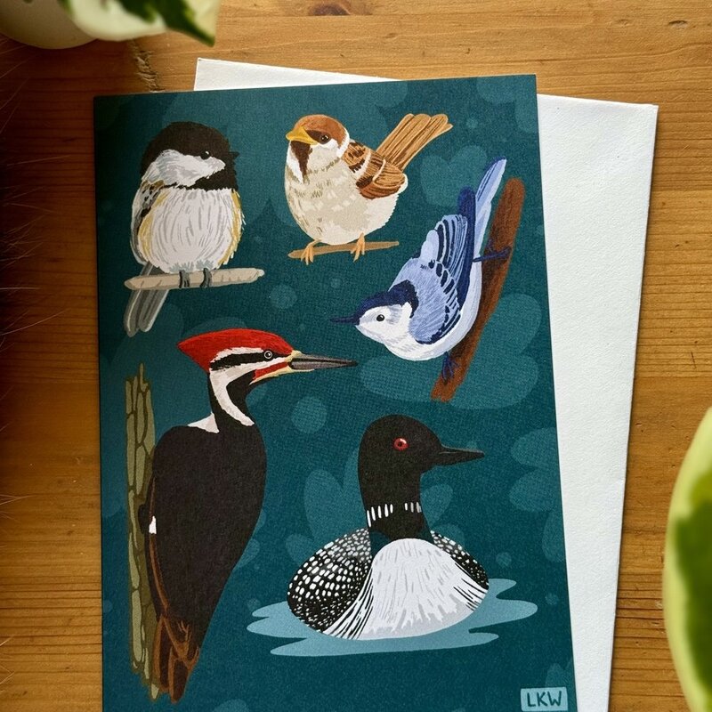 Lily Wenndt Illustration Minnesota Birds Greeting Card