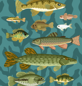 Lily Wenndt Illustration Minnesota Fish Print