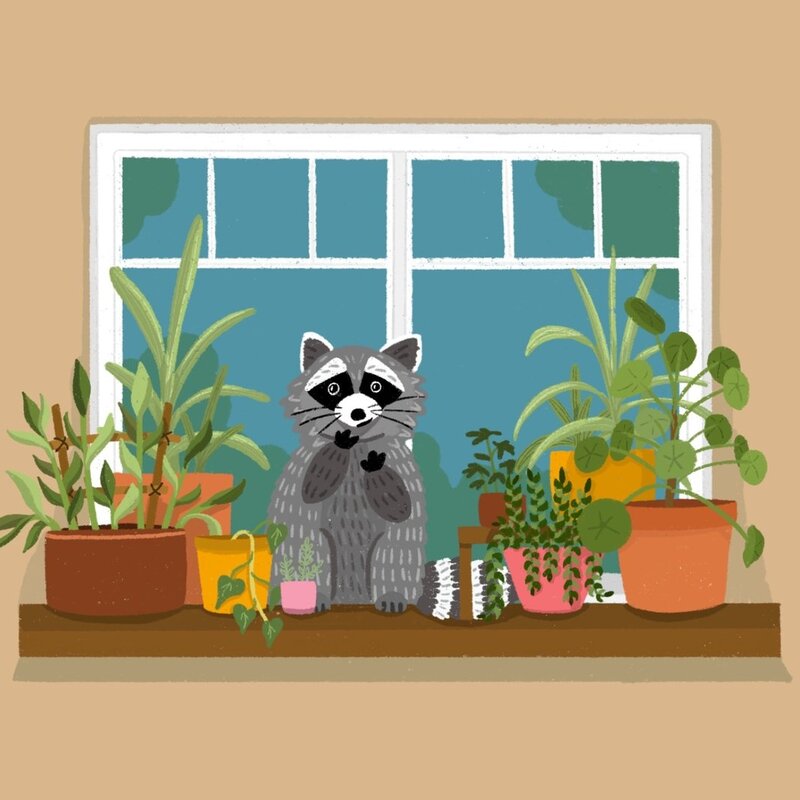 Lily Wenndt Illustration Raccoon Friend Print