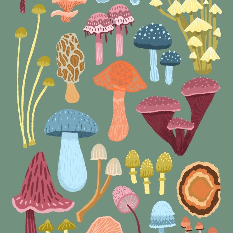 Lily Wenndt Illustration Mushroom Print