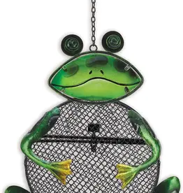 Frog Bird Feeder