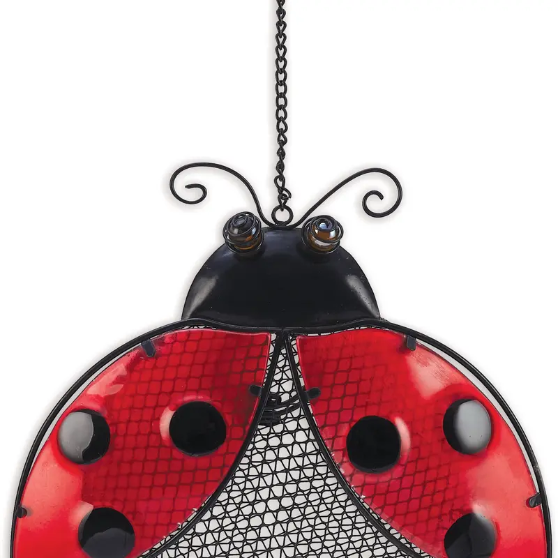 Ladybug Bird Feeder