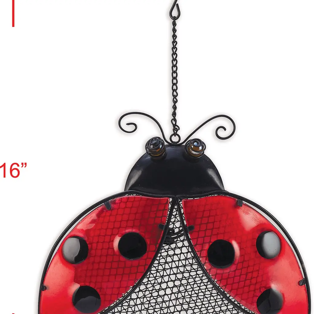 Sunset Vista Designs Ladybug Bird Feeder