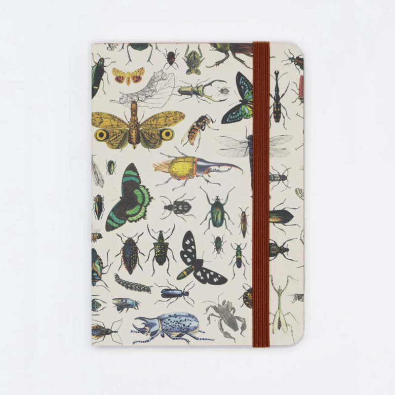 Cognitive Surplus Softcover Notebook: Butterflies & Beetles