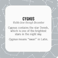 chronicle books On-The-Go Amusements: 50 Constellations For Stargazing