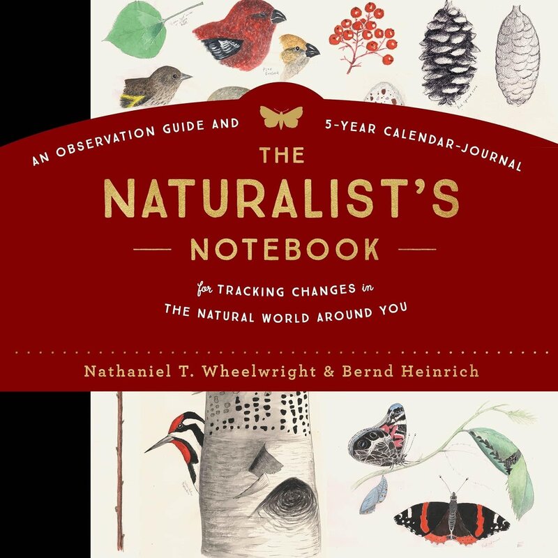 Nathaniel T. Wheelwright & Bernd Heinrich The Naturalist's Notebook: An Observation Guide and 5-Year Calendar-Journal for Tracking Changes in the Natural World around You