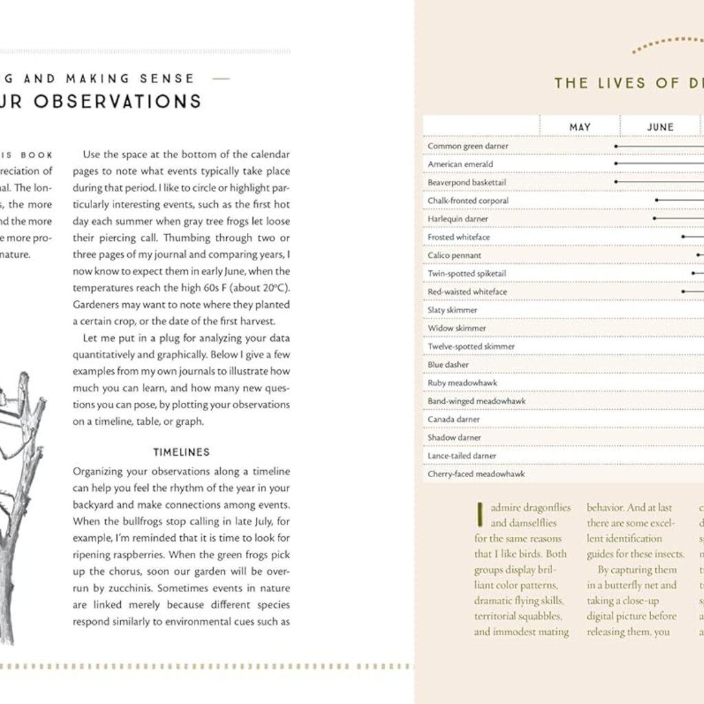 The Naturalist's Notebook: An Observation Guide and 5-Year Calendar-Journal for Tracking Changes in the Natural World around You