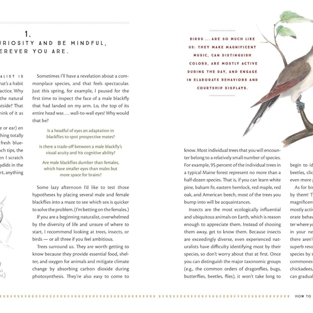 Wheelwright Nathaniel T. & Heinrich Bernd The Naturalist's Notebook: An Observation Guide and 5-Year Calendar-Journal for Tracking Changes in the Natural World around You