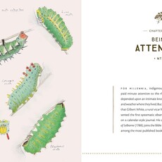 The Naturalist's Notebook: An Observation Guide and 5-Year Calendar-Journal for Tracking Changes in the Natural World around You