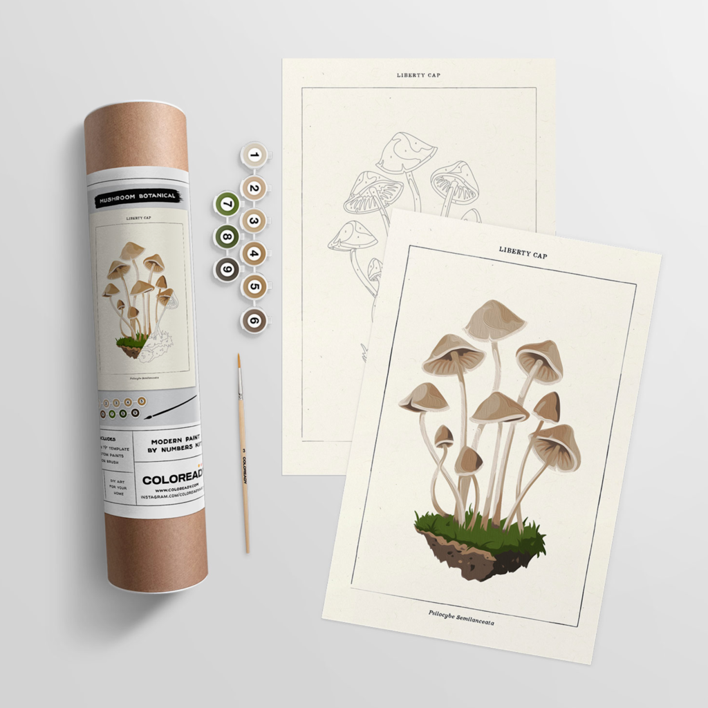 Coloready Paint By Numbers Kit - Mushroom Botanical