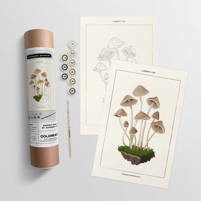 Coloready Paint By Numbers Kit - Mushroom Botanical