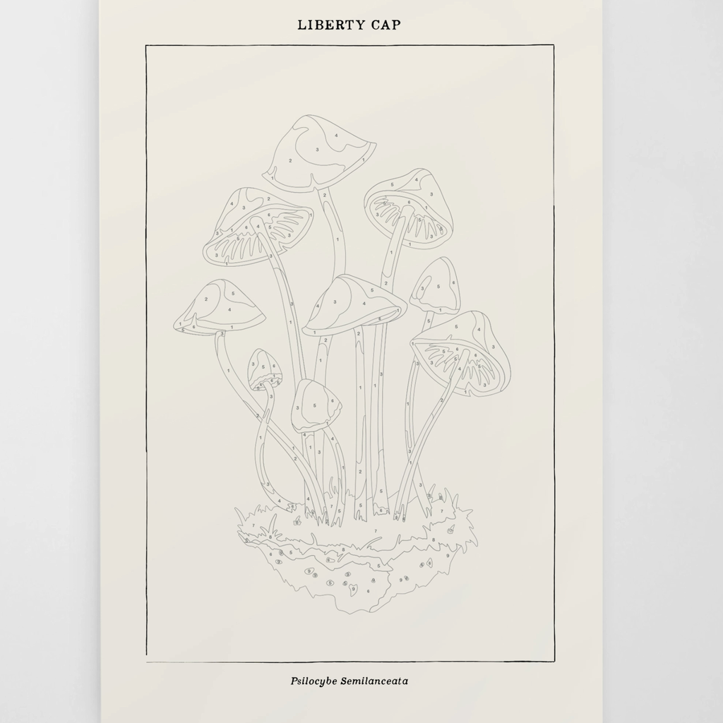 Coloready Paint By Numbers Kit - Mushroom Botanical