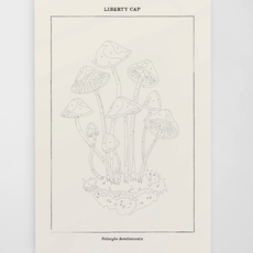 Coloready Paint By Numbers Kit - Mushroom Botanical