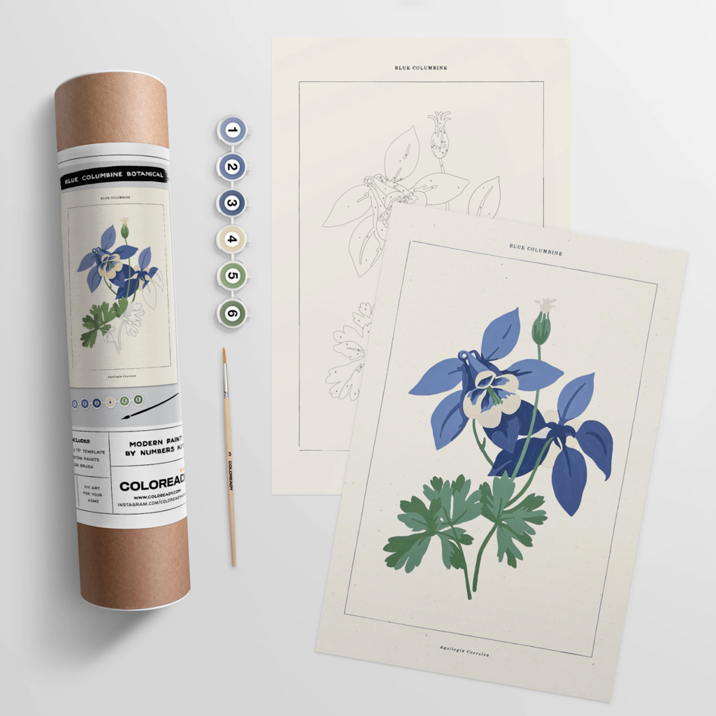 Paint By Numbers Kit - Blue Columbine Botanical