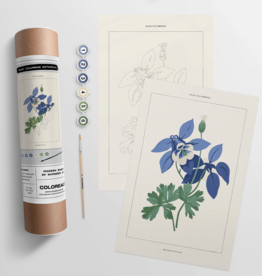 Coloready Paint By Numbers Kit - Blue Columbine Botanical