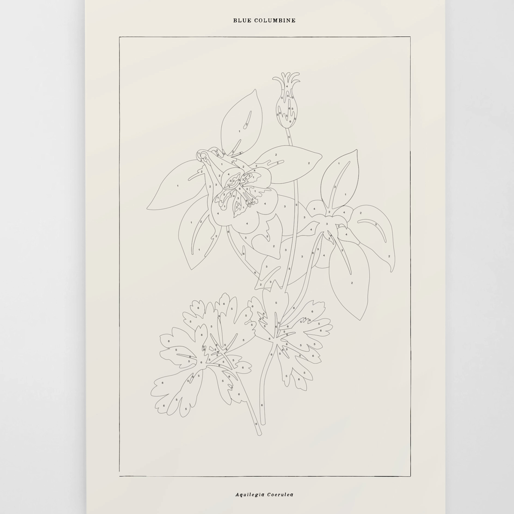 Coloready Paint By Numbers Kit - Blue Columbine Botanical